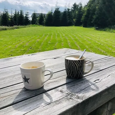 Daire Haus Waldblick Winterberg