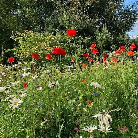 Haus Waldblick Daire
