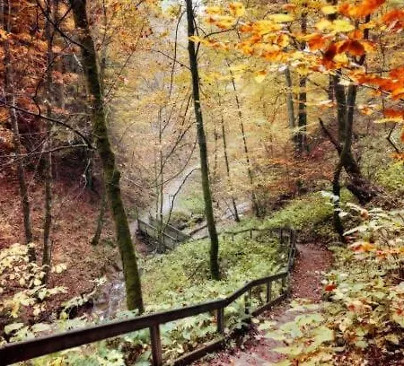 Haus Waldblick *