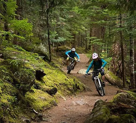 Apartmán Haus Waldblick *