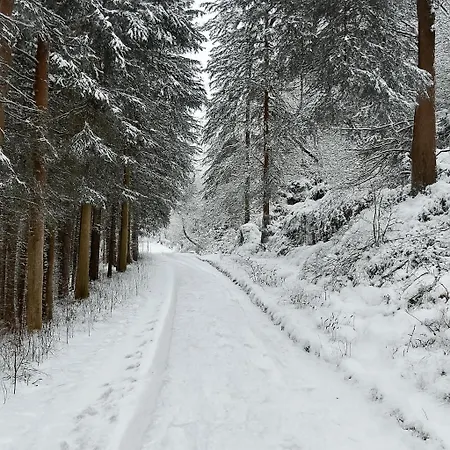 Daire Haus Waldblick