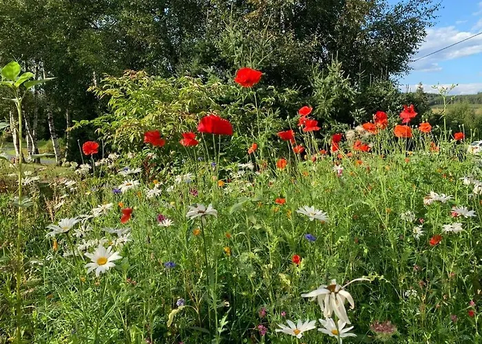 Haus Waldblick 아파트