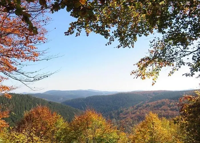 Haus Waldblick * 빈터베르크