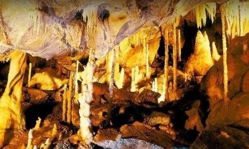 Haus Waldblick アパート ヴィンターベルク