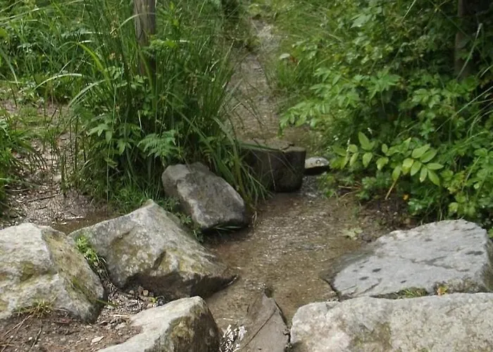 Haus Waldblick 아파트