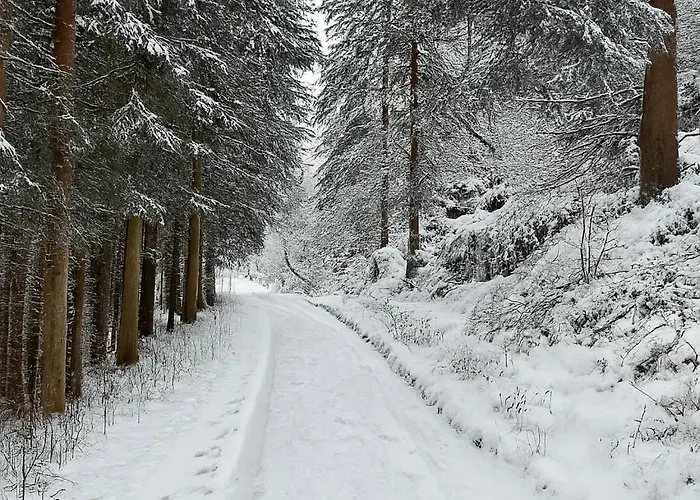 아파트 Haus Waldblick